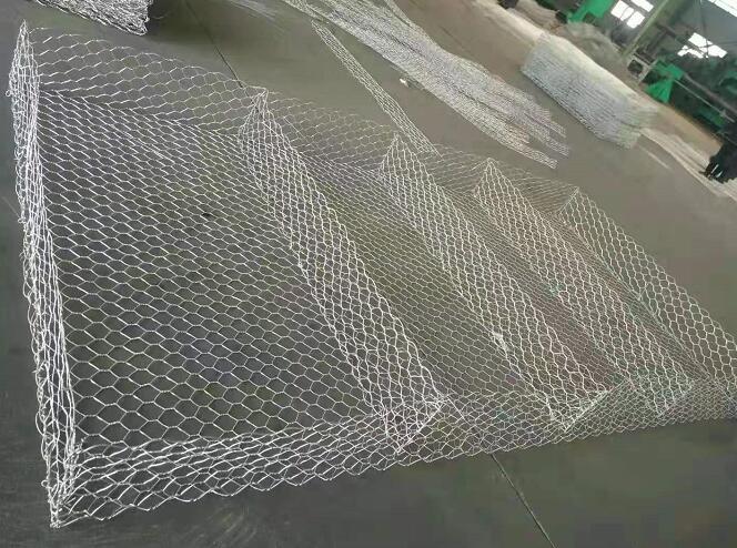 wzkyp.cn
